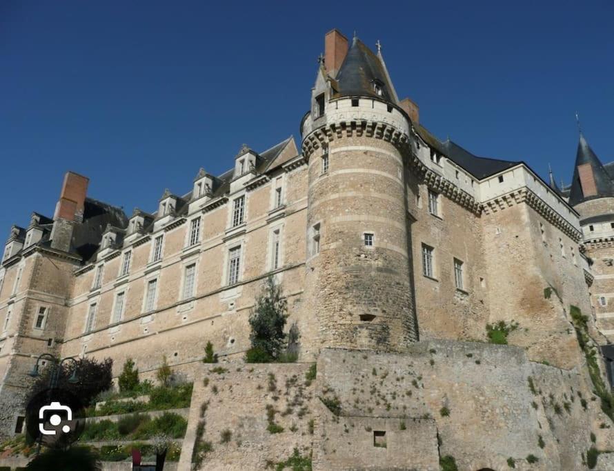 Cheviré-le-Rouge Maison ,1 Chambre, Une Petite Piece , Un Salon, 5 Couchagesヴィラ エクステリア 写真